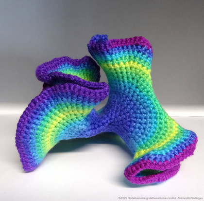 Crocheted model of hyperbolic surface