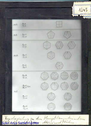 Slide: Topological to the main tangent grids on minimal surfaces