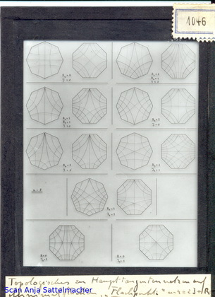 Slide: Topological to the main tangent grids on minimal surfaces