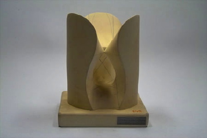 Cubic surface with 3 real conic double points