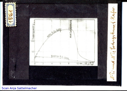 Slide: N-T1 and N-T2 yield curve for oat