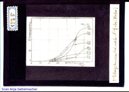 Slide: t-yield curve at different N- donation (oat)