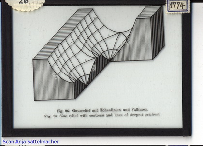 Slide: Sine relief with contours and lines of steepest gradient