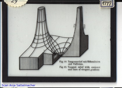 Slide: Tangent relief with contours and lines of steepest gradient