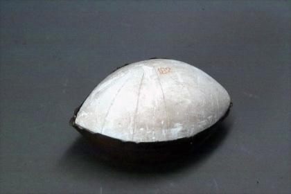 Rotational surface of constant positive curvature; spindle type