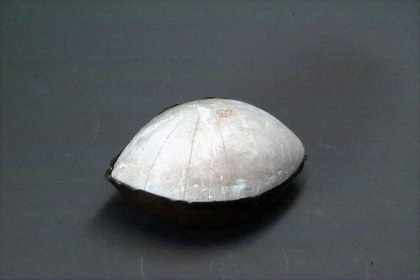 Rotational surface of constant positive curvature; spindle type