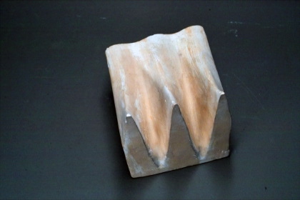 Real part surface of e^z