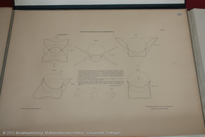 3 plaques about plane curves of 4. order with 2 colons