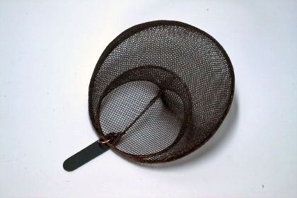 Möbius strip with a sphere as boundary curve